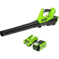 Greenworks Soplador eléctrico para hojas G40AB, con batería de 40 V y 2 Ah, modelo 2400807UA