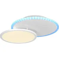 Paul Neuhaus JUST LIGHT - Lámpara de techo LED, color de luz regulable, 16W, blanco, modelo 11662-16