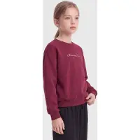ONLY GIRLS Sudadera 'KOGELFIE' verde oscuro / rosa / arándano / blanco