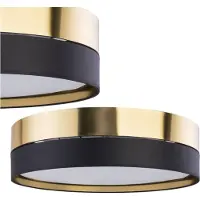 TK Lighting Lámpara de techo HILTON BLACK/GOLD, modelo 4345, de