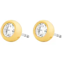 Michael Kors Pendientes 'PREMIUM' oro / transparente