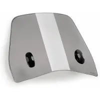 Puig Parabrisas Trafic Vespa Gtv 300 2025