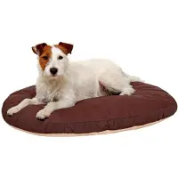 Karlie Cojín Oval Doc Bed