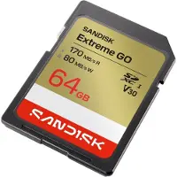 SanDisk Tarjeta De Memoria Extreme Go 64gb