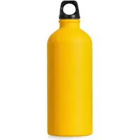 Salewa Botella Isarco Lightweight 600ml