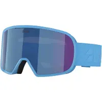 Bliz Máscara Esquí G002s