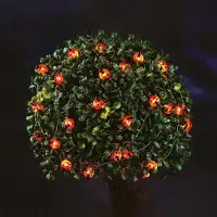 HomeShopXL GLOBIZ - Guirnalda de luces LED solares, diseño mariquita, 2,4 metros, 25 LEDs, luz blanca cálida