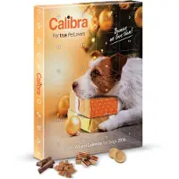 Calibra Calendario de adviento Hunde Snack 2026, edición Golden. Para niños, talla única