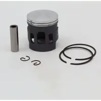 VERTEX Pistón Minarrv Polini D46.95 B