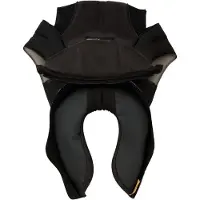 Shark Acolchado Interior Evoline 3 V.2022