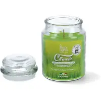 Magic Lights Vela De Citronela 510ml