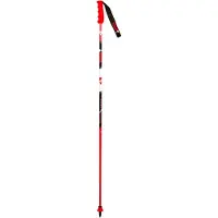 Vola Bastones Gs Carbon