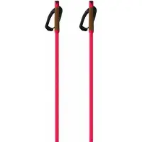 Fischer Bastones Storm Gtx S