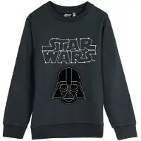 Star Wars Sudadera Star Wars Cotton Brushed