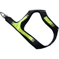 Axaeco Arnés Para Perros X-run
