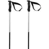 Völkl Bastones Phantastick Iii