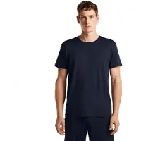 Icebreaker Camiseta De Manga Corta 150 Lodge Relaxed