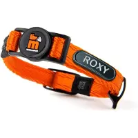 My Family Collar Para Gato Memopet Id