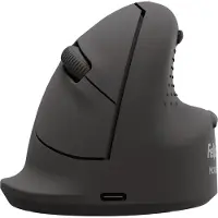 Fellowes Ratón Inalámbrico 100143583