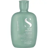 Alfaparf Milano Champú energizante 250 ml