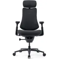 Libernovo Silla De Escritorio Ergonómica Omni Pro