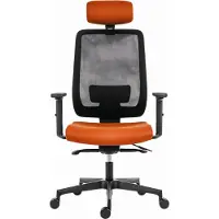Powerton Silla de oficina ergonómica ERGO LUCIE, naranja