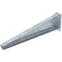 OBO Soporte mural y de asta AW 55/61, longitud 610 mm (6418635)