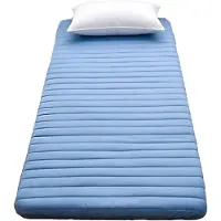 Dripio Colchón tipo futón de 5 cm de grosor, suave, de 80x190 cm, color azul, plegable