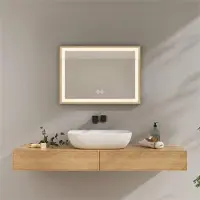 OEM Espejo con iluminación LED, 70x50 cm, con interruptor táctil, función antiniebla y temperatura de color de 4300 K