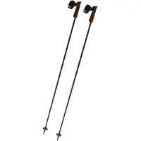 Fischer - Bastones esquí - GT 13 Carbon Mag - Talla 120 cm - Negro