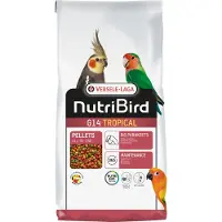 Versele-Laga Nobby NUTRIBIRD "Tropical", alimento especializado para aves, ideal para loros grandes (G14)