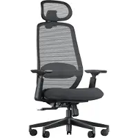 OEM Silla de oficina ergonómica con soporte lumbar, asiento deslizante y reposacabezas 3D