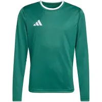 Adidas adidasCamiseta manga larga Entrada26 176 Team Dark Green / White Niño