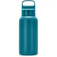 LifeStraw Go Laguna Teal GOST-1L-TEAL Stainless Steel, botella de agua con filtro de 2 fases, 1L
