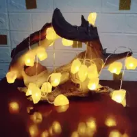 OEM Guirnalda de luces de sal, 3,5 metros, 20 LEDs, conexión USB, tallada a mano