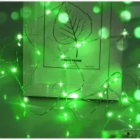 Dripio Guirnalda de luces LED, 3 metros, 30 micro-LEDs, funciona con pilas, color verde