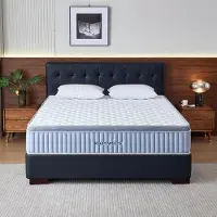 OEM Colchón de 140x200 cm, híbrido con muelles ensacados, 7 zonas, firmeza H3, 25 cm