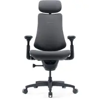 Libernovo Silla Plegable Omni Gen