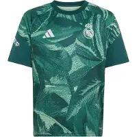 Adidas adidasCamiseta calentamiento Real Madrid 26/27 176 Aurora Ivy / Semi Green Spark Niño