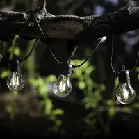 OEM Guirnalda de luces LED, 4,5 metros, 10 bombillas de luz cálida, regulable, con mando a distancia
