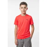 Puma Camiseta De Manga Corta Tad Essential