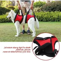 Markenlos Arnés de apoyo y movilidad para perros: ayuda para caminar y levantarse, ideal para perros mayores o con lesiones