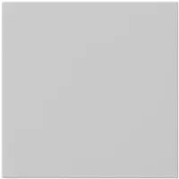 Gira Accesorios giratorios, pintura mate, interruptor