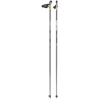 Salomon - Bastones de esquí nórdico - R 30 Click - Talla 175 cm - Gris