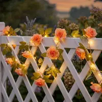 Dripio Guirnalda de luces con forma de rosas, 2,2 metros de largo, 40 LEDs, color naranja-rojo, funciona con pilas