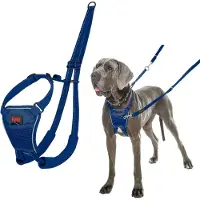 Company of animals No Pull Harness - Cobalt Blue - L