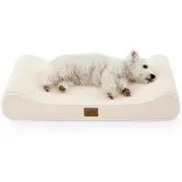 Merkloos Cama ortopédica para perros con borde elevado, 91 x 61 cm