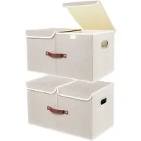 LTPRTZ Juego de cajas de almacenamiento - Cajas con tapa - Para organizar espacios - Lavables y plegables - 55x33x30 cm - Beige