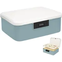 LTPRTZ Caja de almacenamiento con cerradura - Caja para medicamentos con combinación numérica - Almacenamiento seguro - Estructura de doble capa - 16 litros - Azul