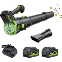 LTPRTZ Accu Bladblazer - Herramienta eléctrica - Mantenimiento de jardines - Motor sin escobillas - 750 m³/h - Negro